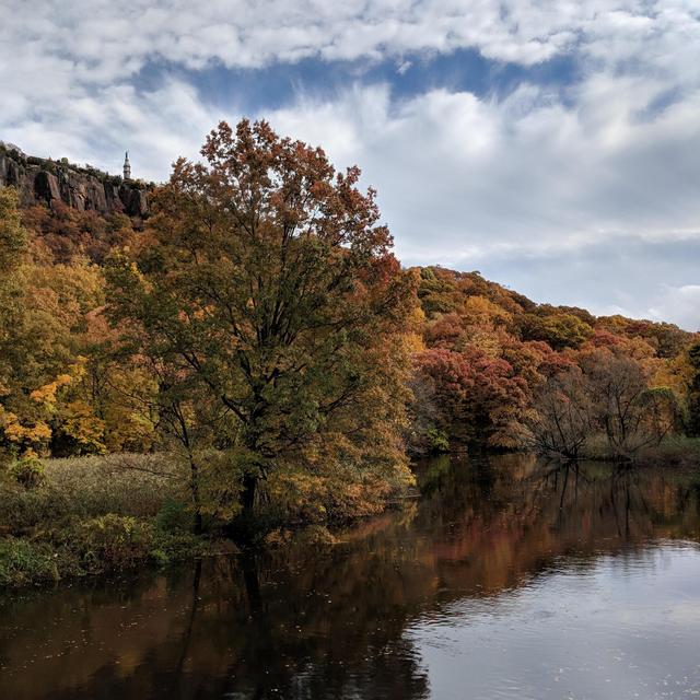 Donation to a Climate Charity