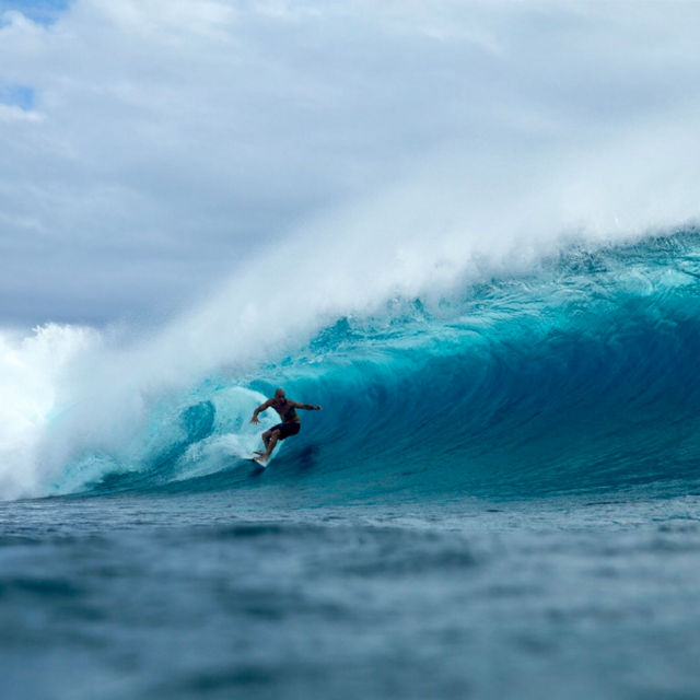 Surf Trip