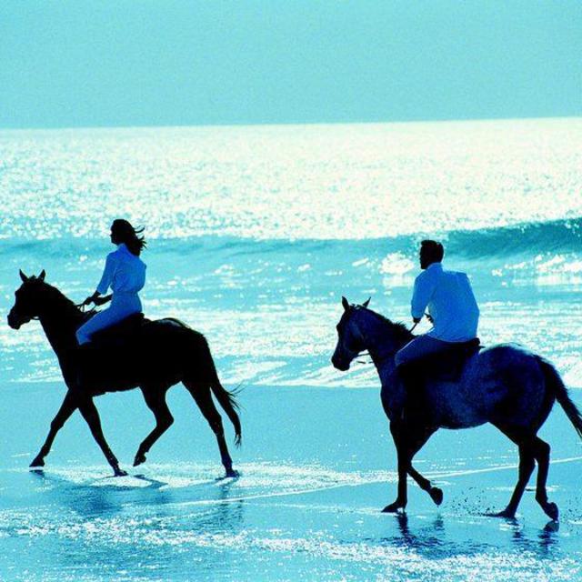 Horseback Riding on the Beach