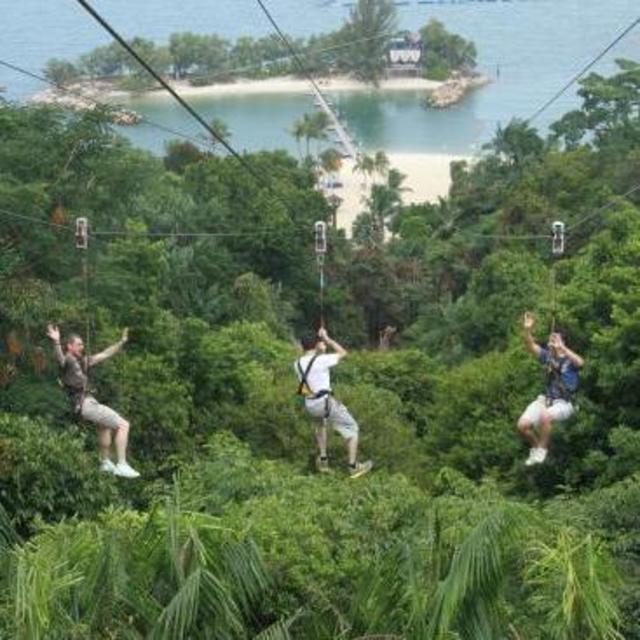 Rides down the 1/4-mile Zip Line at MegaZip Adventure Park