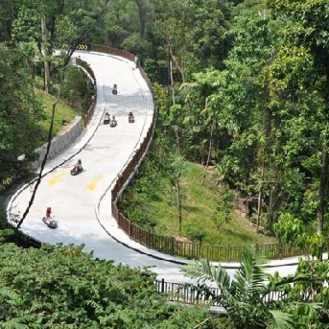 Trips down the Skyline Luge Track
