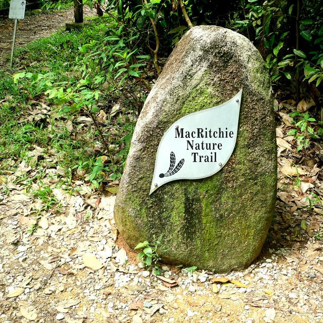 Entry Fees for the Zoom 5K Run at the MacRitchie Reservoir in Singapore