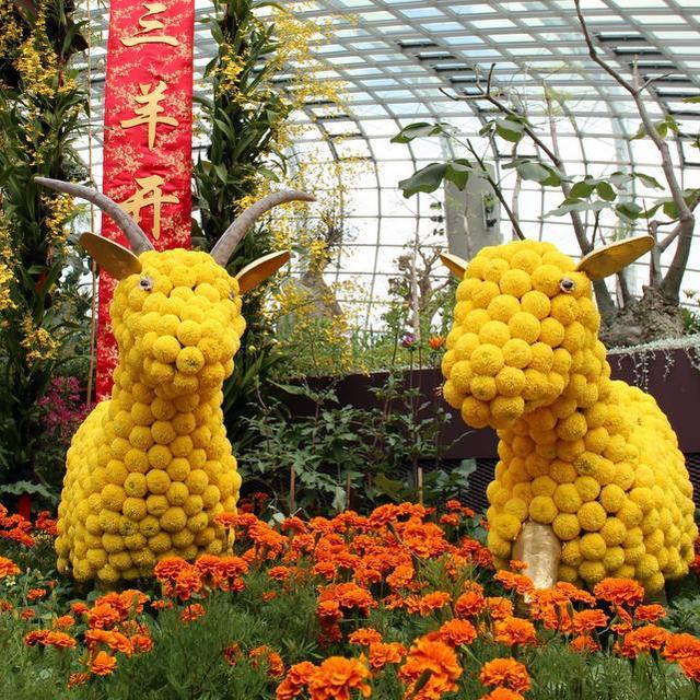 Afternoon Exploring Gardens by the Bay