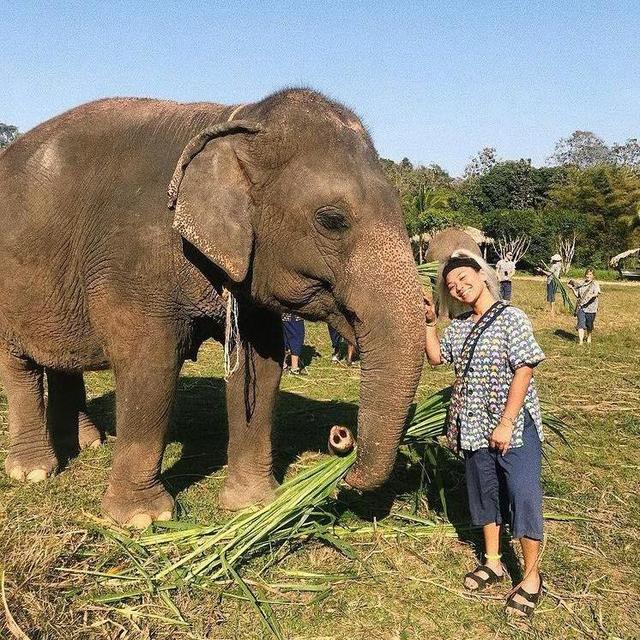 Honeymoon: Kanta Elephant Sanctuary Visit for Two