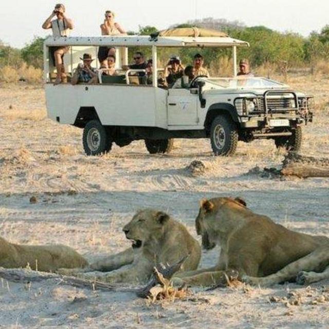 Chobe National Park: Safari