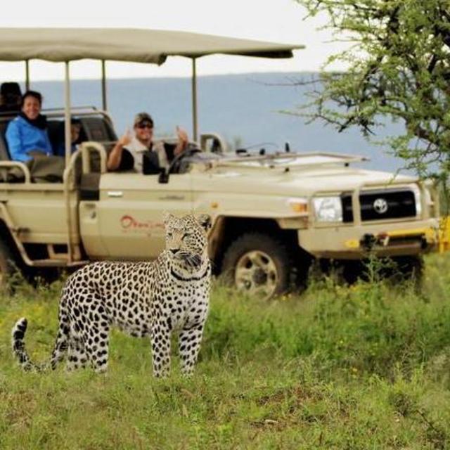 Okonjima Leopard Tracking Drive