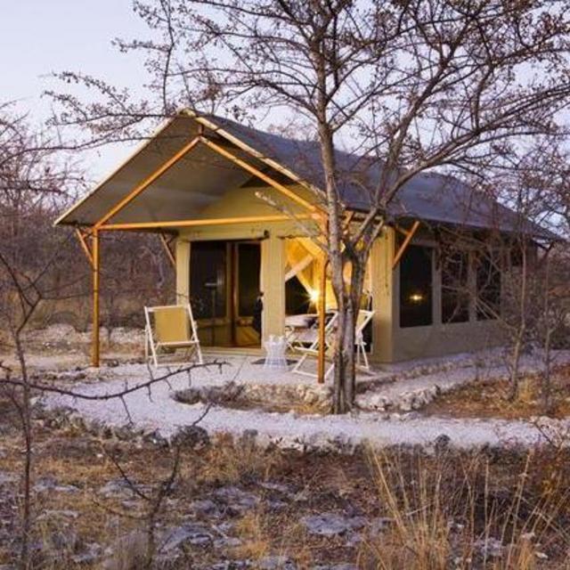 Etosha East: Mushara Bush Camp