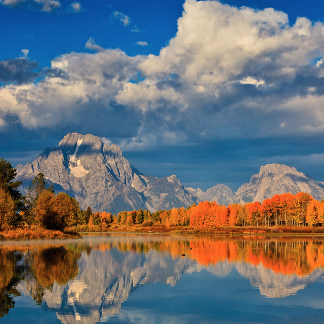 Sierra Club Foundation