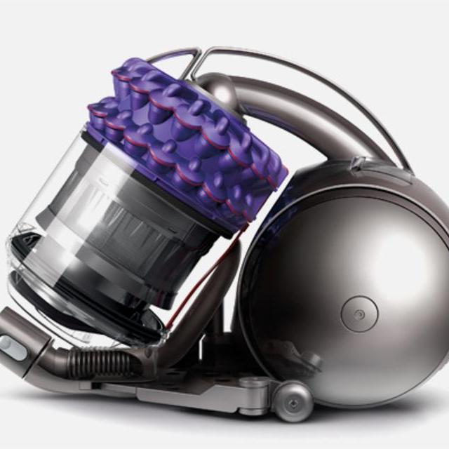 Dyson Cinetic - Animal