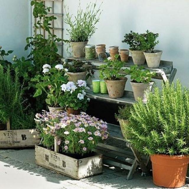 Herb Garden