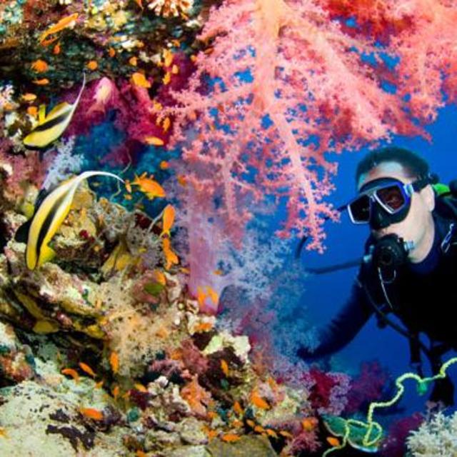 Scuba Diving on our Honeymoon