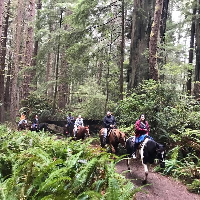 Honeymoon Experience - Horseback Riding in the Redwoods