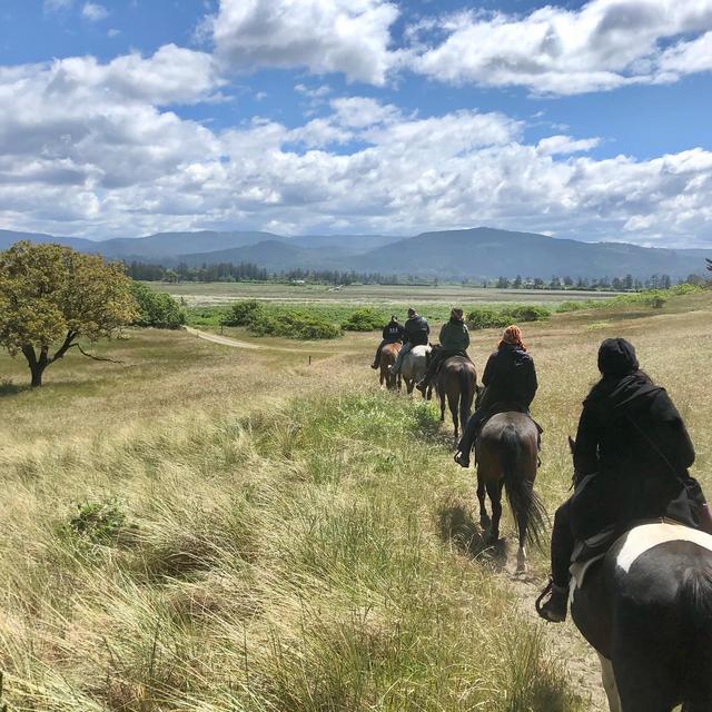 Honeymoon Experience - Horseback Riding in Tolowa Dunes State Park