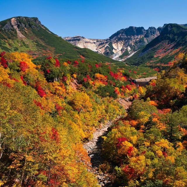 Honeymoon Stop #1: Daisetsuzan National Park