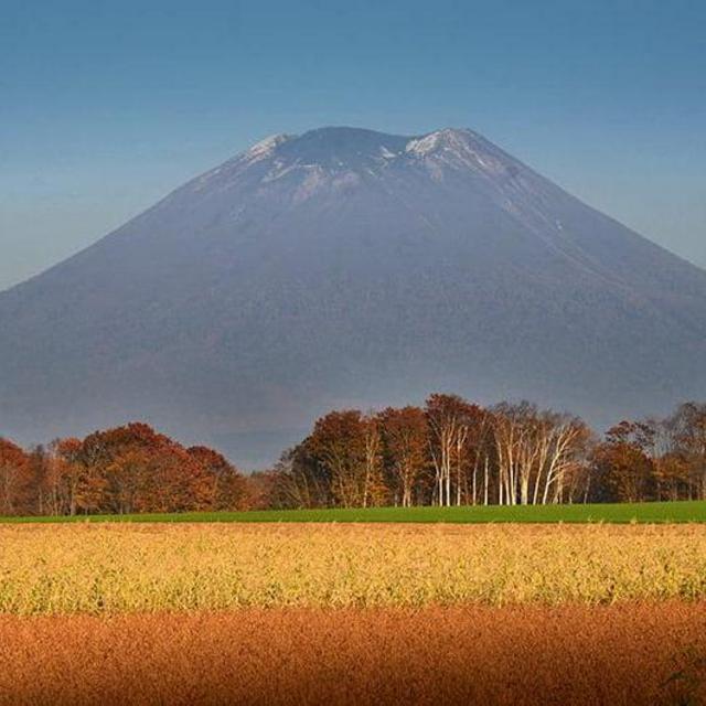 Honeymoon Stop #6: Niseko