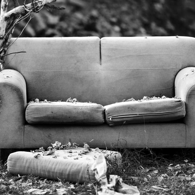Grown Up Furniture - Bed & Sofa