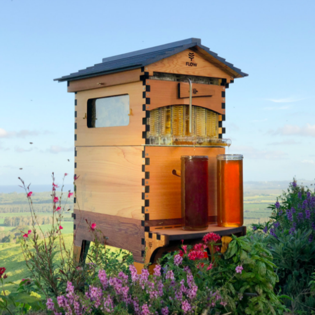 Bee Keeping Start Up Funds!