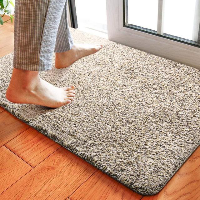 Delxo 24 x 36 Inch Magic Doormat (Large, Beige)