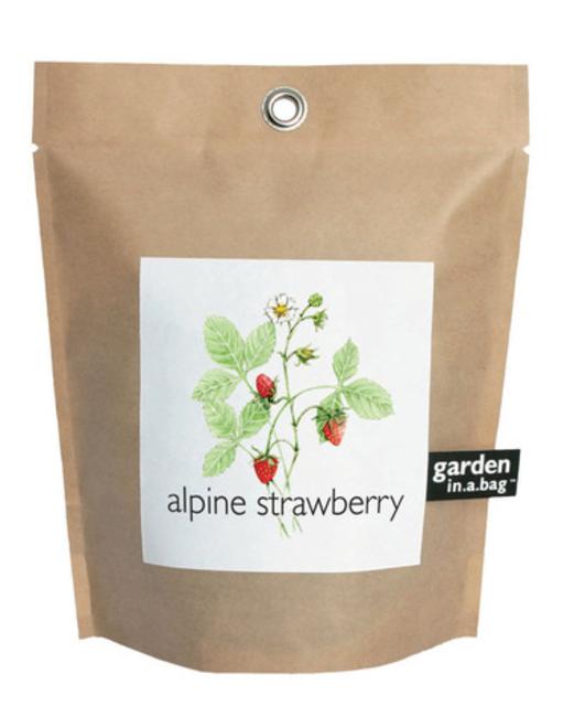Garden-in-a-bag Strawberry