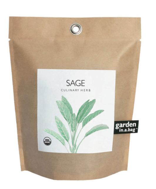 Garden-in-a-bag Sage