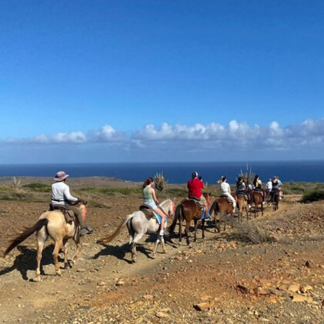 Aruba Horse Back Riding