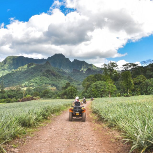 ATV on Honeymoon