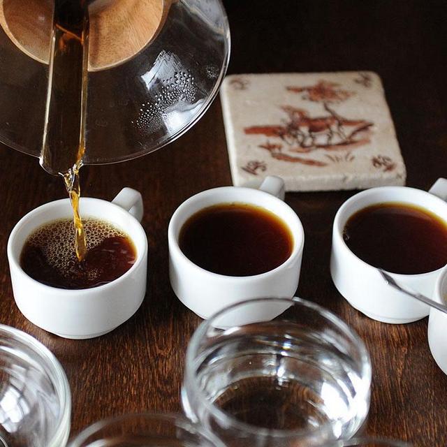 Coffee Tour in Costa Rica