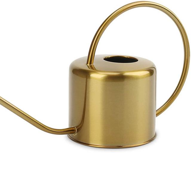 Remiawy Watering Can Indoor Outdoor Stainless Steel Watering Can