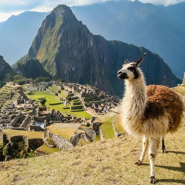 Round Trip Airfare to Lima, Peru