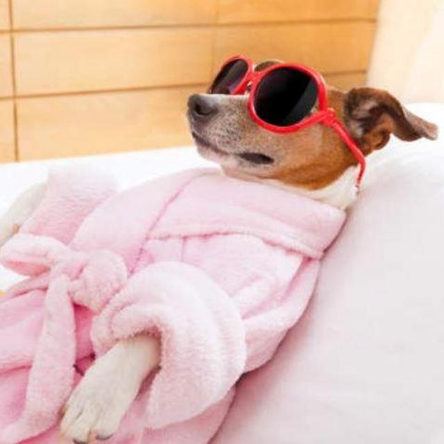 Remy Spa Day