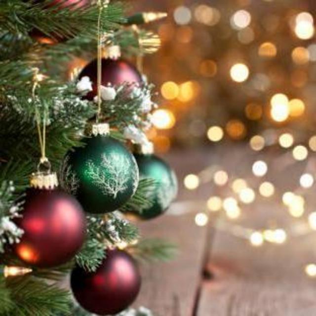 Family Christmas Photoshoot