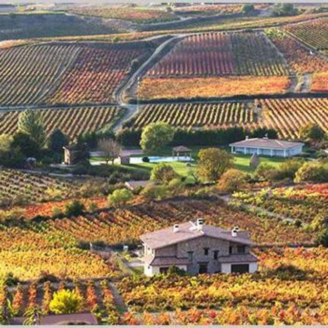 Vineyard Fund