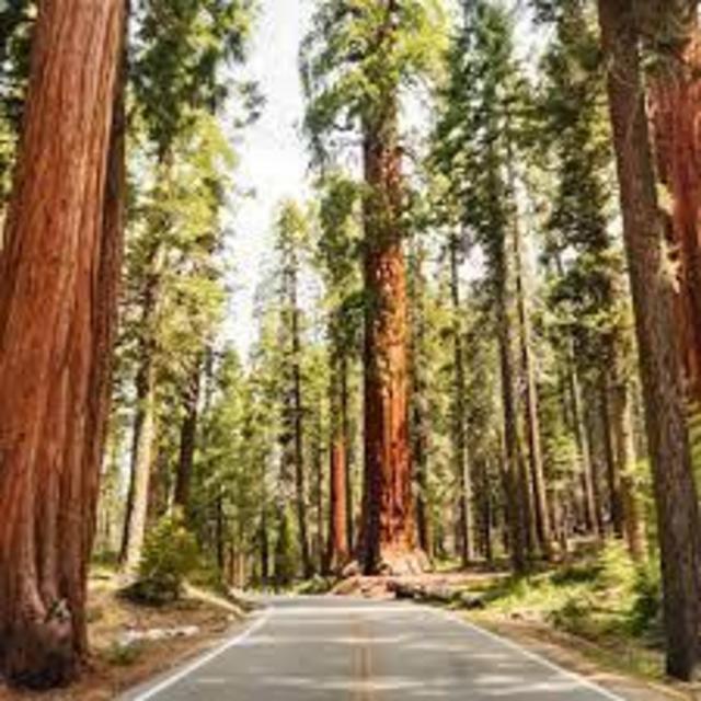 California National Parks
