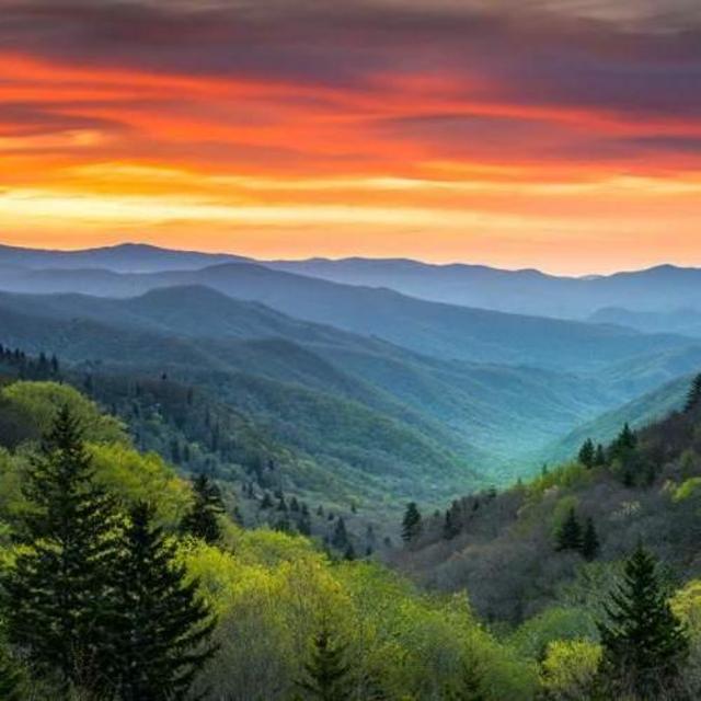 The Blue Ridge Parkway