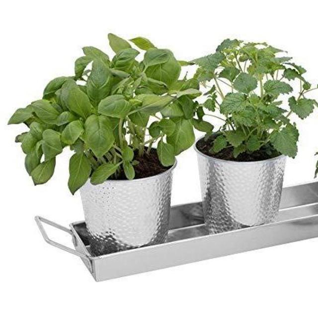Windowsill Herb Pots - Set of 3 Galvanized Indoor Planters and Tray