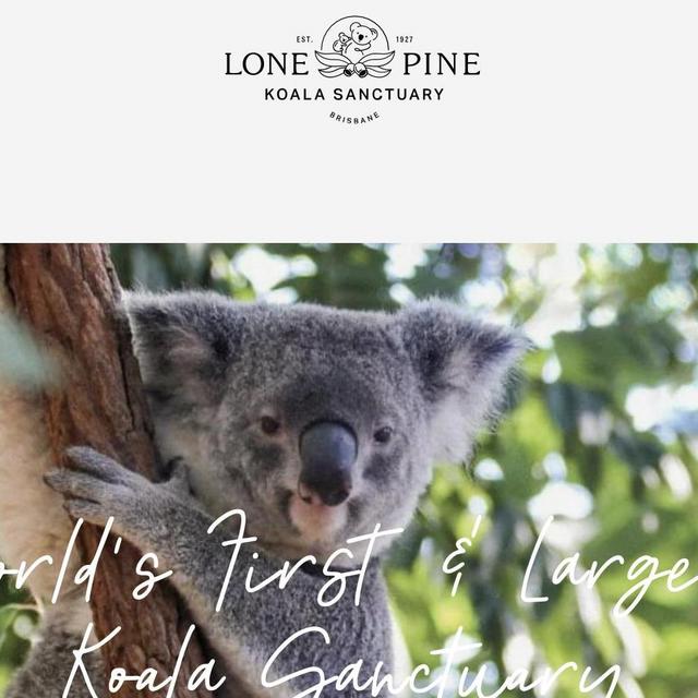 Australia Lone Pine Koala Sanctuary tour for 5