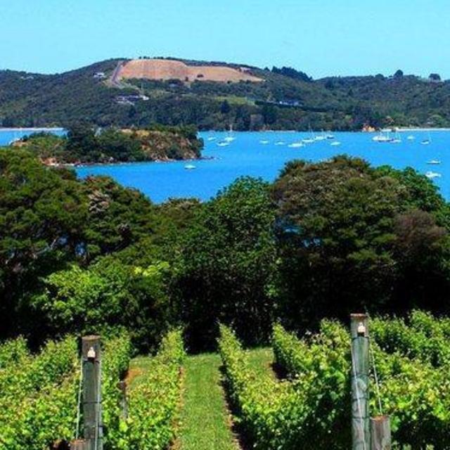 New Zealand Waiheke Island tour for 5