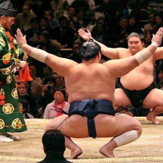 Sumo Tournament
