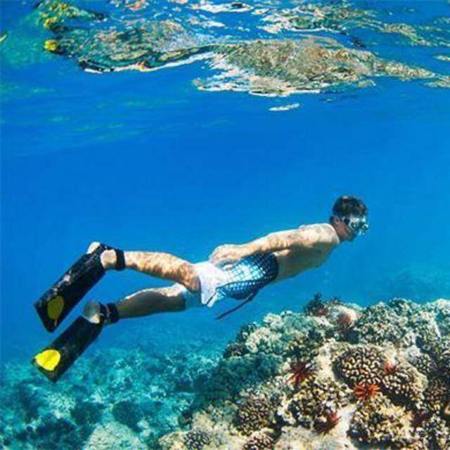 Na Pali Coast Snorkel and Sail