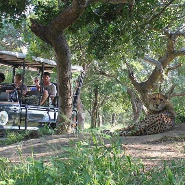 Visit to Hoedspruit Endangered Species Center