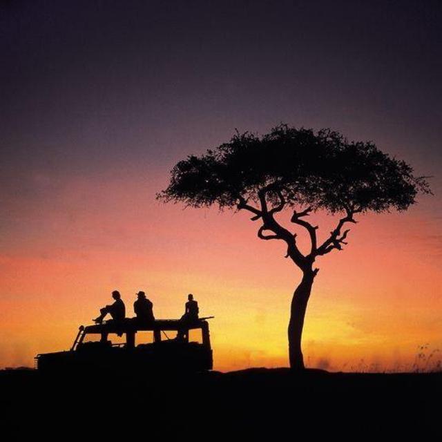 Relaxing at Sunset