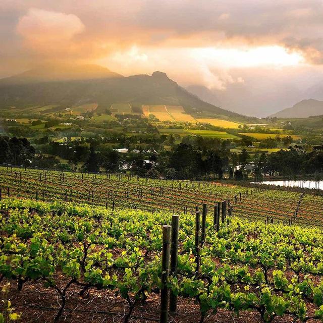All Day Wine Tour