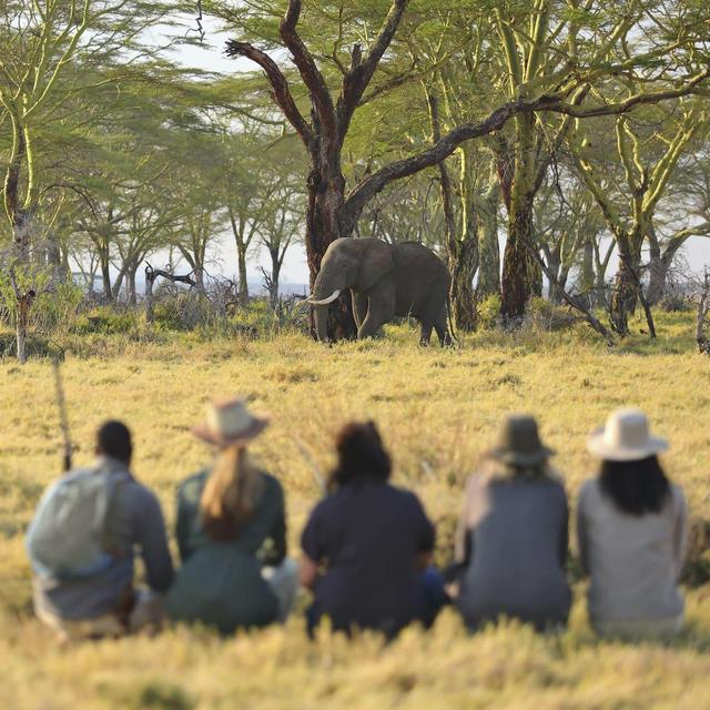 Tarangire National Park Guided Walking Safari