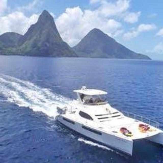 Whale and Dolphin Watching