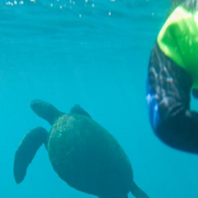 Scuba Diving Excursion on Isabela Island