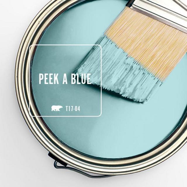 House Paint Fund