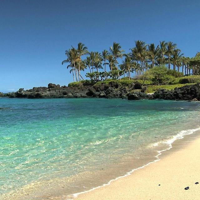 Hawaii Honeymoon Fund