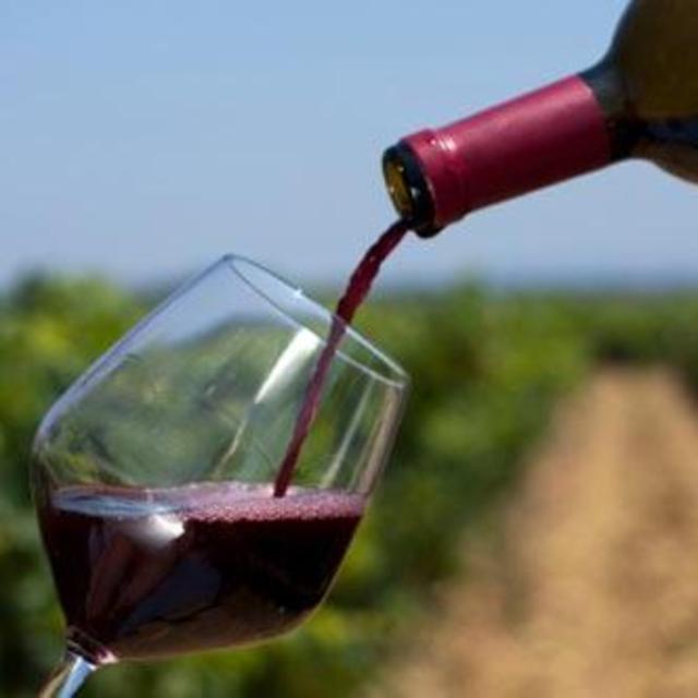 Wine Tasting