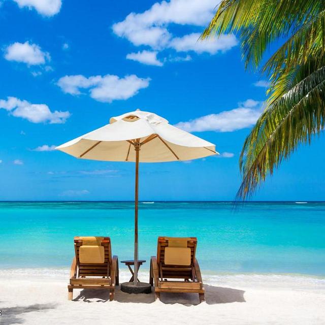 Beach Day