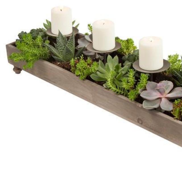 Melinda 4-Candle Tabletop Planter
